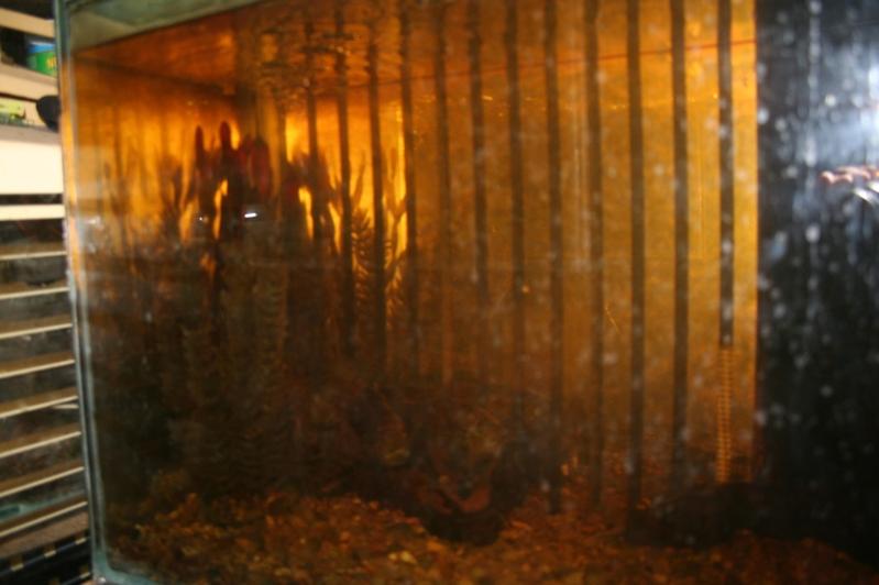 Filter that I built.jpg