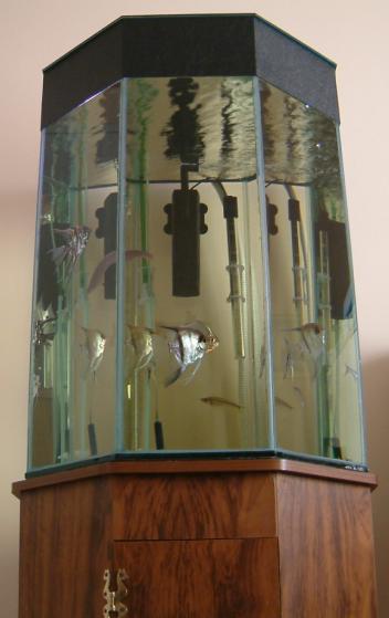 Fish Tank 2.JPG