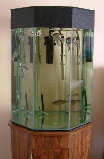 Fish Tank.JPG