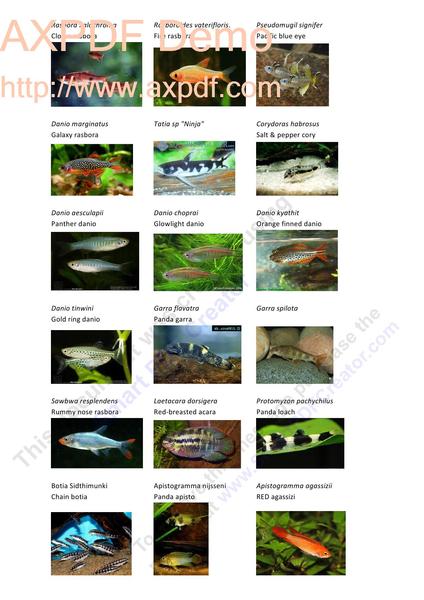 Foto wishlist 2 2012-03_0001.jpg