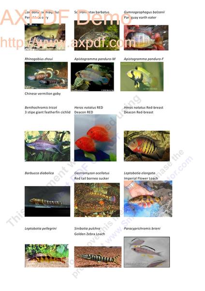 Foto wishlist 2 2012-03_0002.jpg