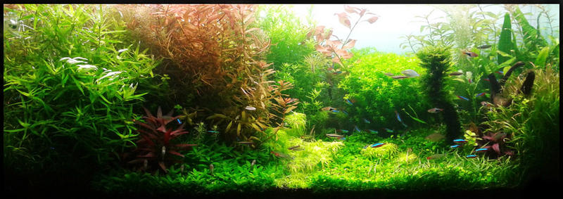 fts.jpg