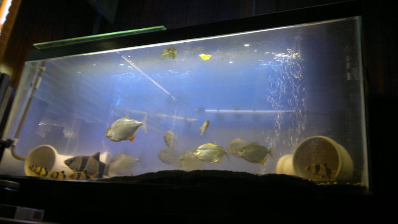 FtS2.jpg