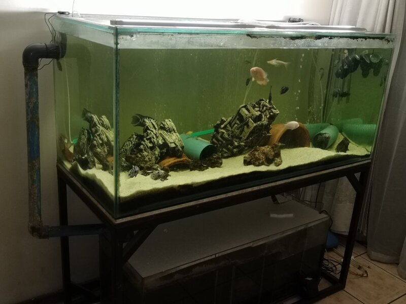 full tank.jpg
