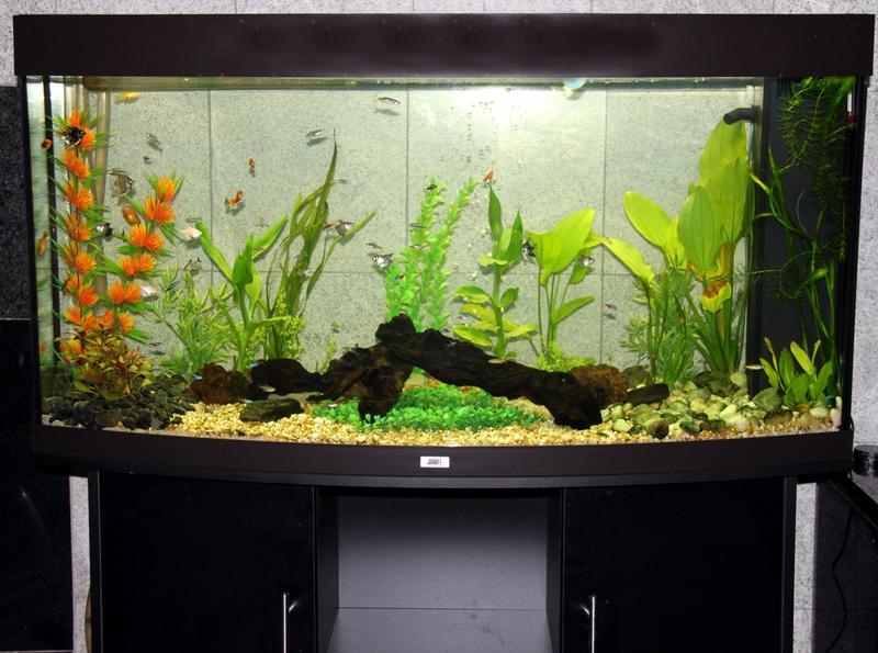full tank shot.jpg