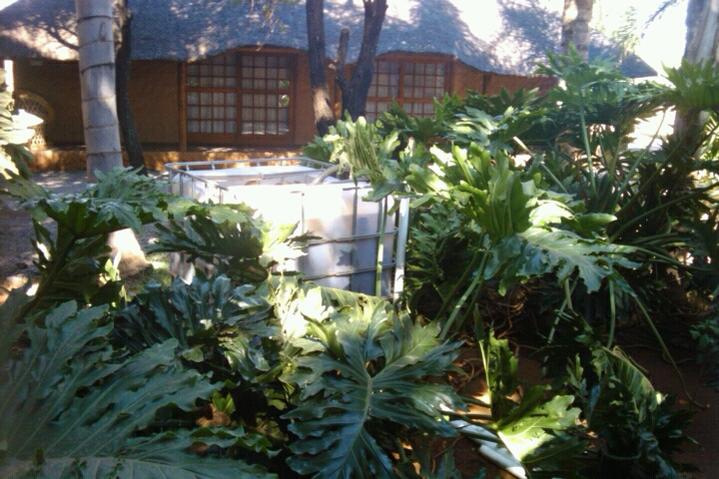 FxCam_1288098381146.jpg