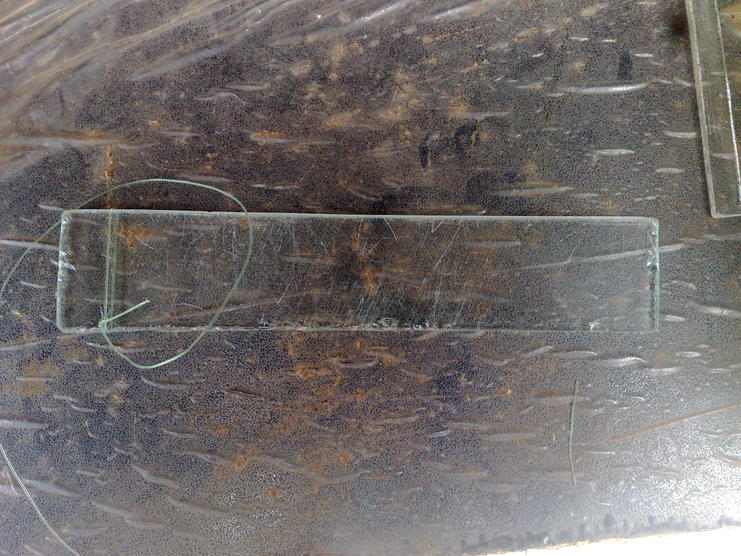 glass 1.jpg