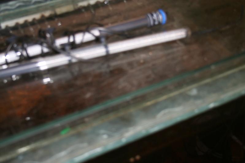 Heater and sprey bar.jpg