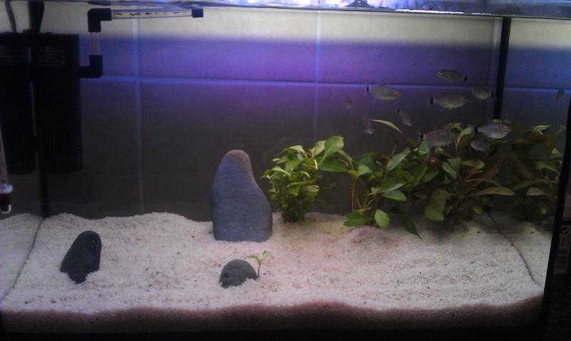 IMAG0152.jpg