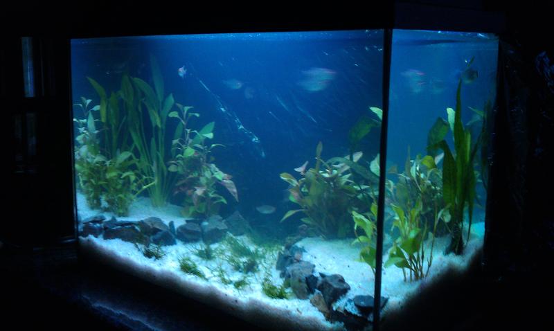 IMAG0161.jpg