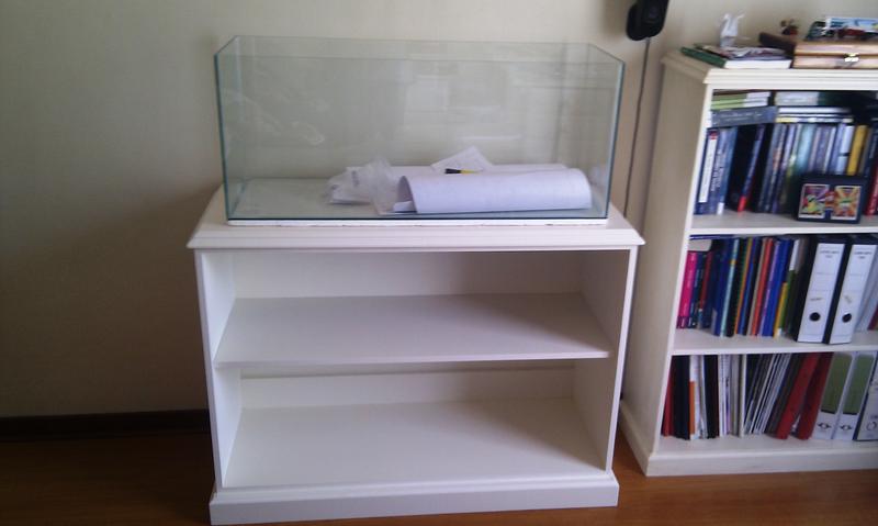 IMAG0256.jpg