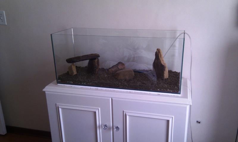 IMAG0260.jpg