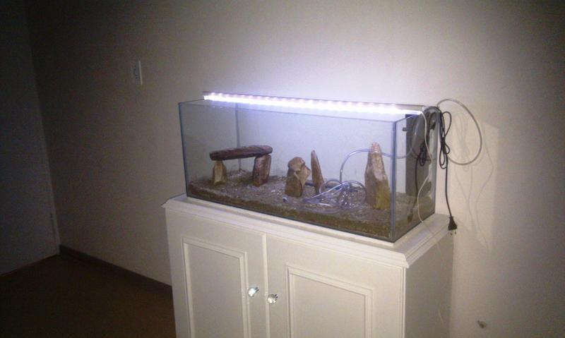 IMAG0264.jpg