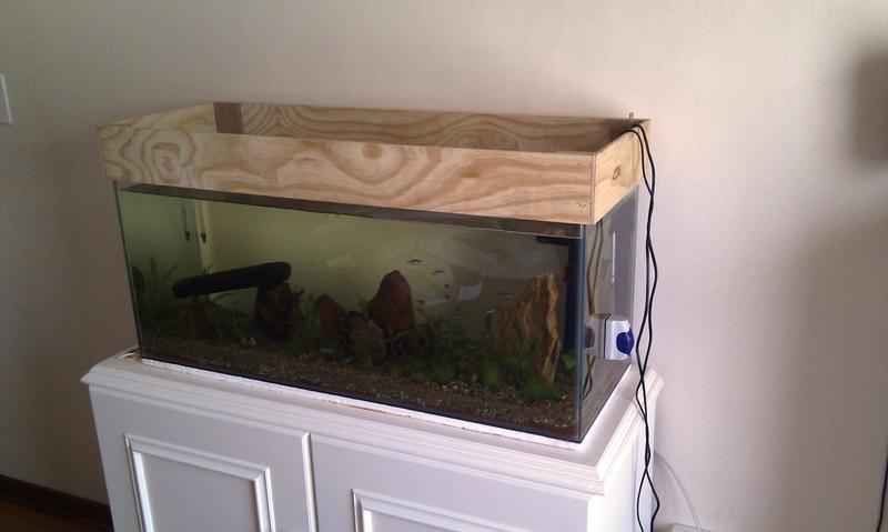 IMAG0279.jpg