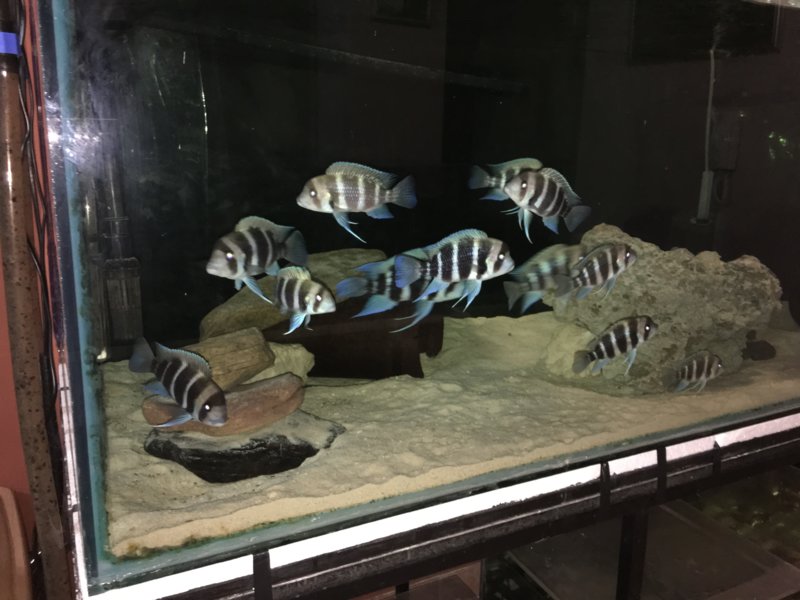 image 1.jpg
