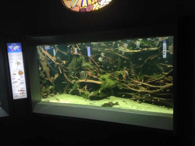image-1571988536.jpg