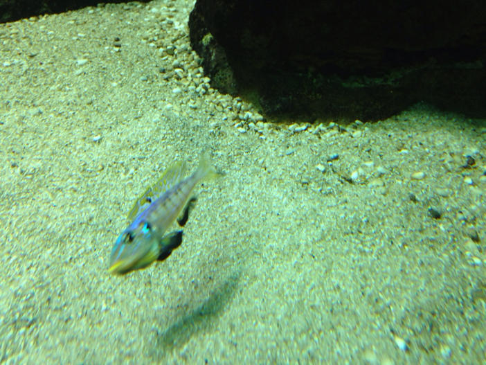 image-164372925.jpg