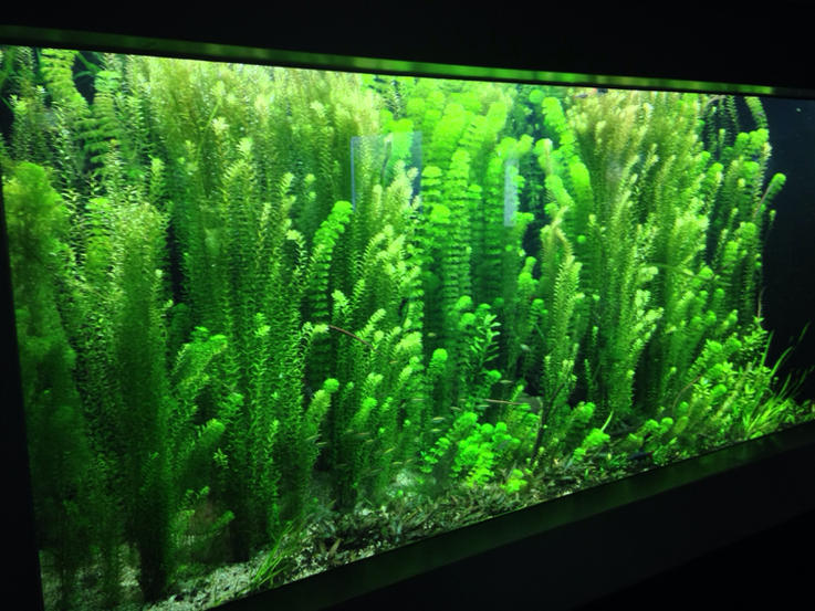 image-3013331636.jpg