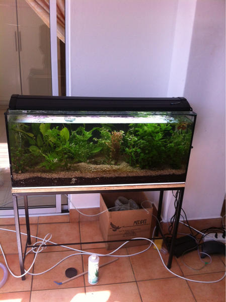 image-3293809475.jpg