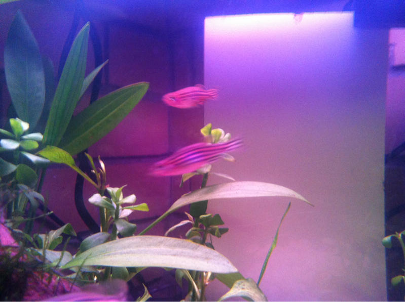 image-3533119472.jpg