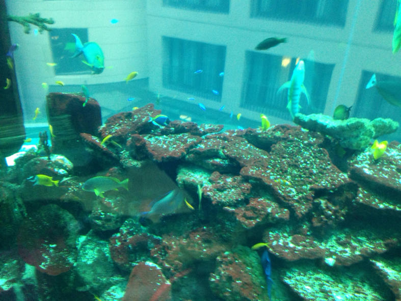 image-3704129704.jpg