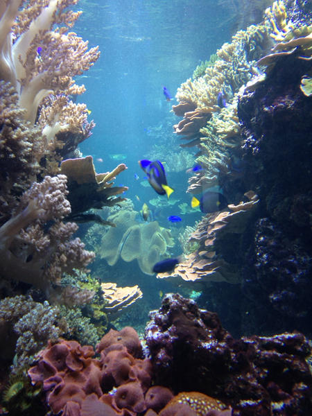 image-3776322589.jpg