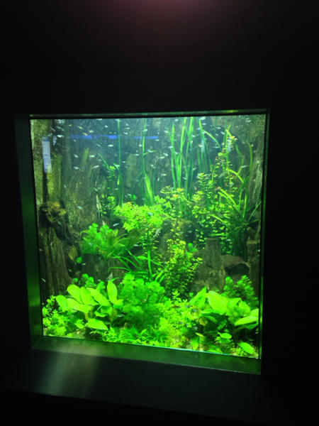 image-652496058.jpg