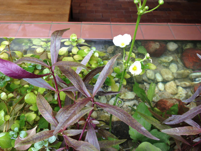 image-831257755.jpg