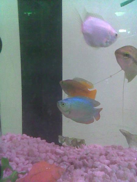 Image000.jpg