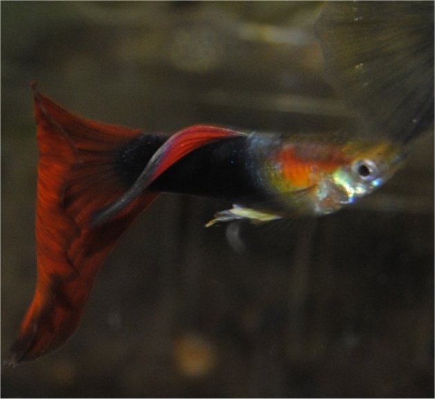 Image10.jpg