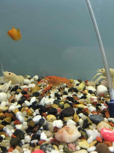 Image1462184765.059296.jpg