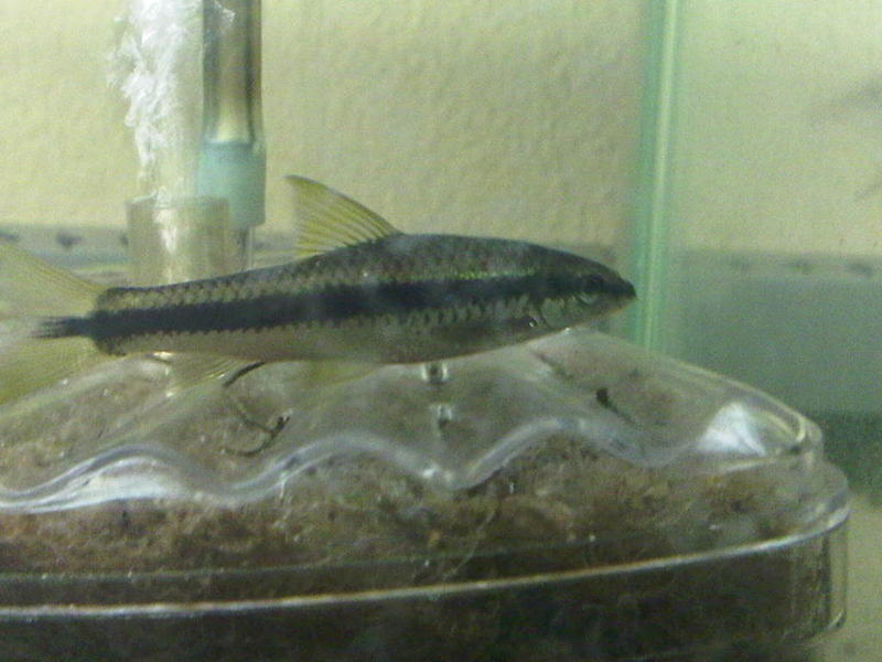 IMG-20110802-00009.jpg