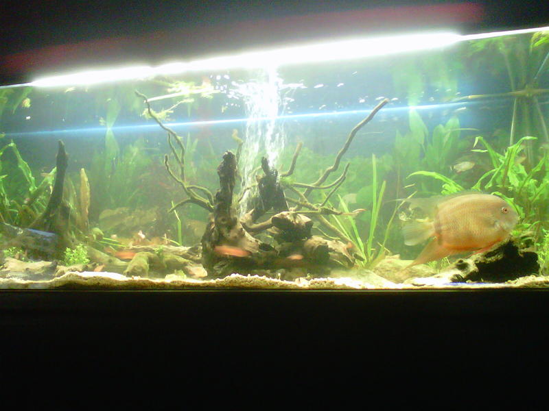 IMG-20111106-00183.jpg