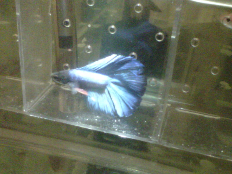IMG-20120321-00177.jpg