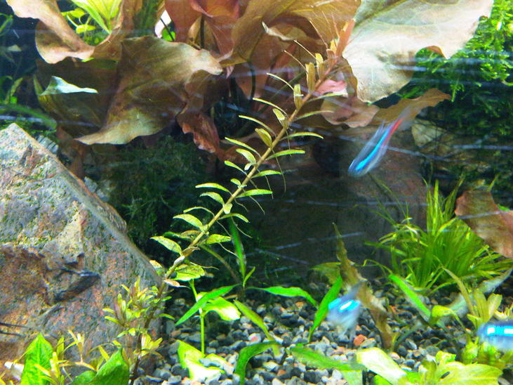 IMG-20120528-00485.jpg