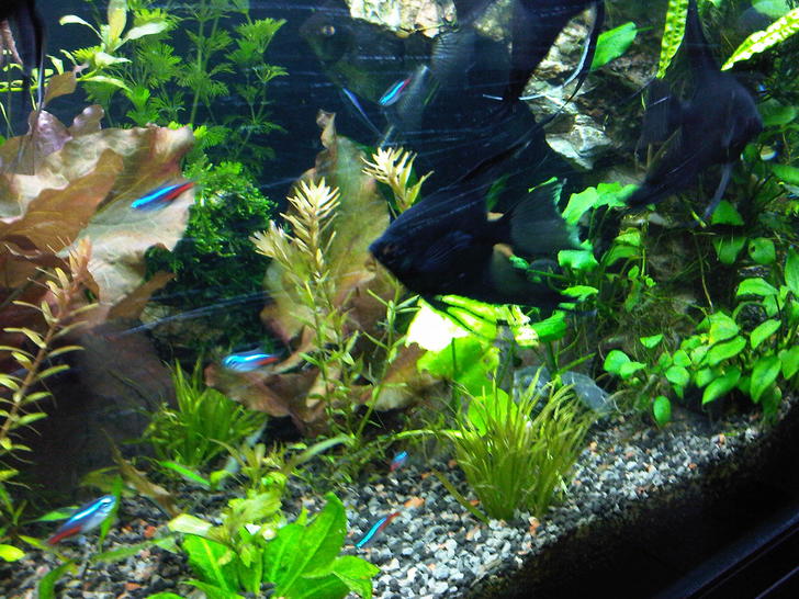 IMG-20120528-00492.jpg