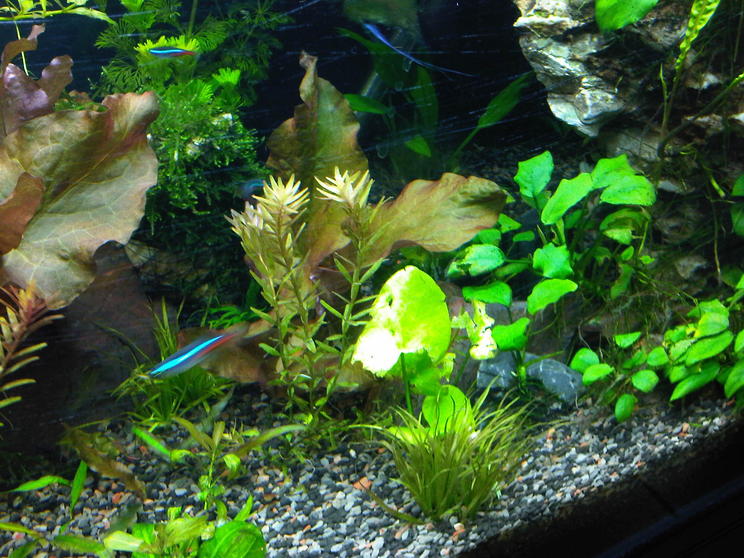 IMG-20120528-00494.jpg