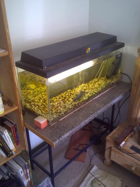 IMG-20120713-00655.jpg