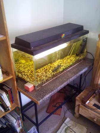 IMG-20120713-00655.jpg
