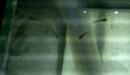 IMG-20120716-01543_1342422786561_s.jpg