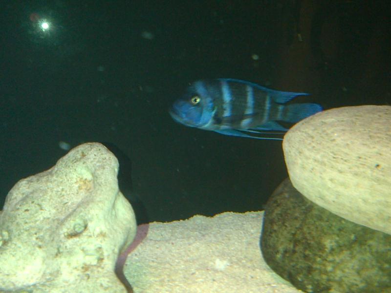 IMG-20120821-00019.jpg