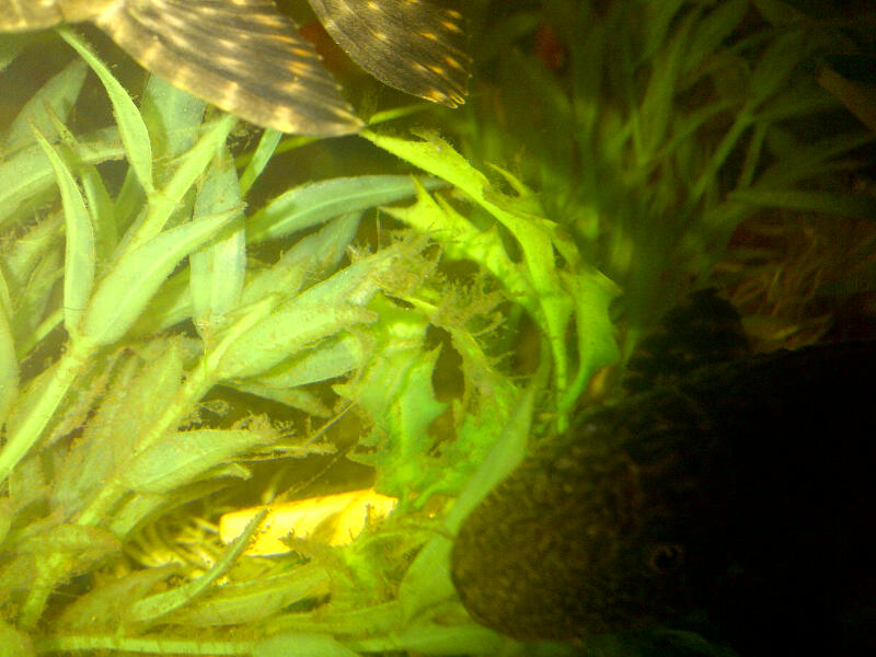 IMG-20120906-00354.jpg