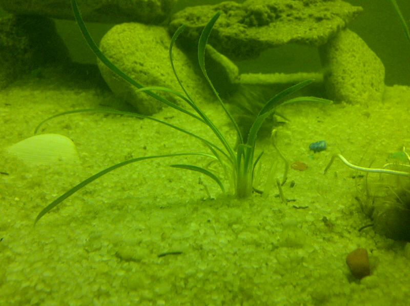 IMG-20120906-00356.jpg