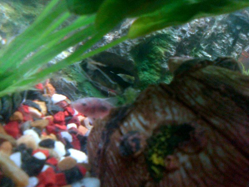IMG-20120915-00039.jpg