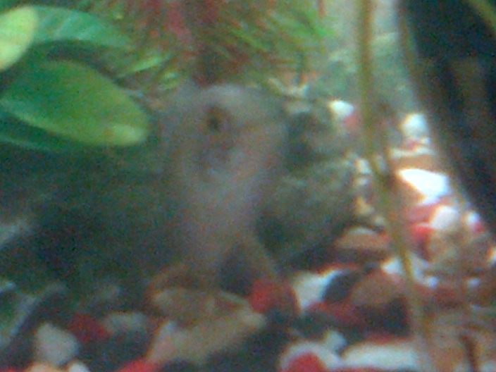 IMG-20120915-00041.jpg