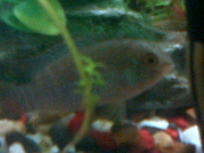 IMG-20120915-00043.jpg
