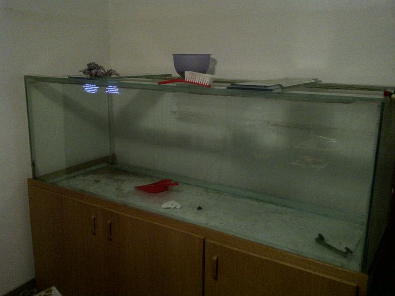 IMG-20121109-01368.jpg