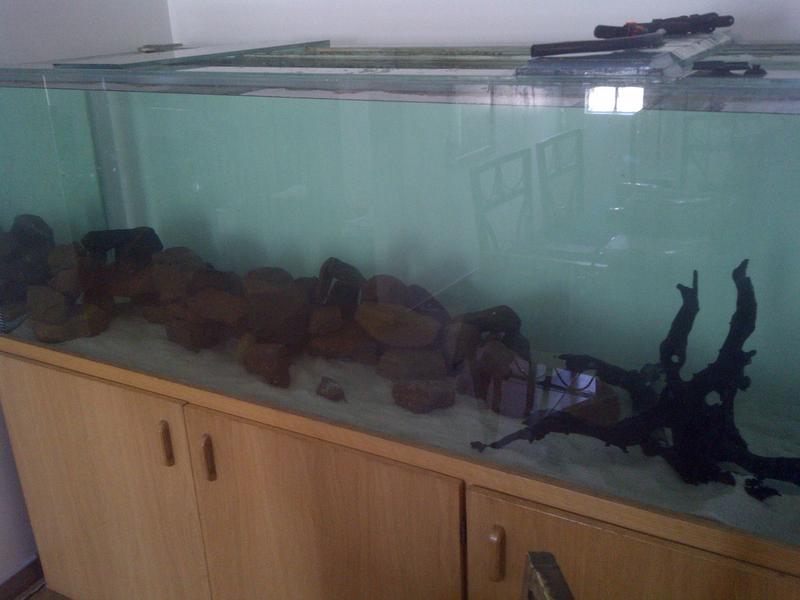 IMG-20121110-01372.jpg