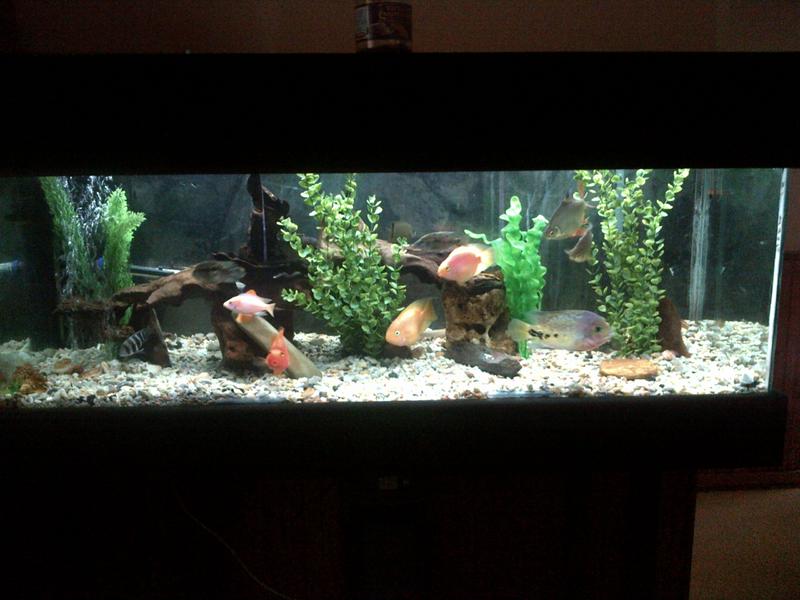 IMG-20121119-00032.jpg
