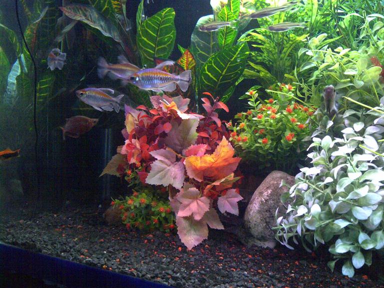 IMG-20121217-00114.jpg